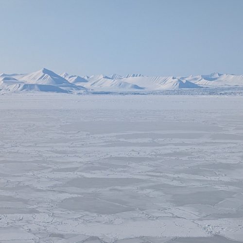 Successful First Year of Sentinel‑3 Sea Ice Cal/Val Activities in Svalbard